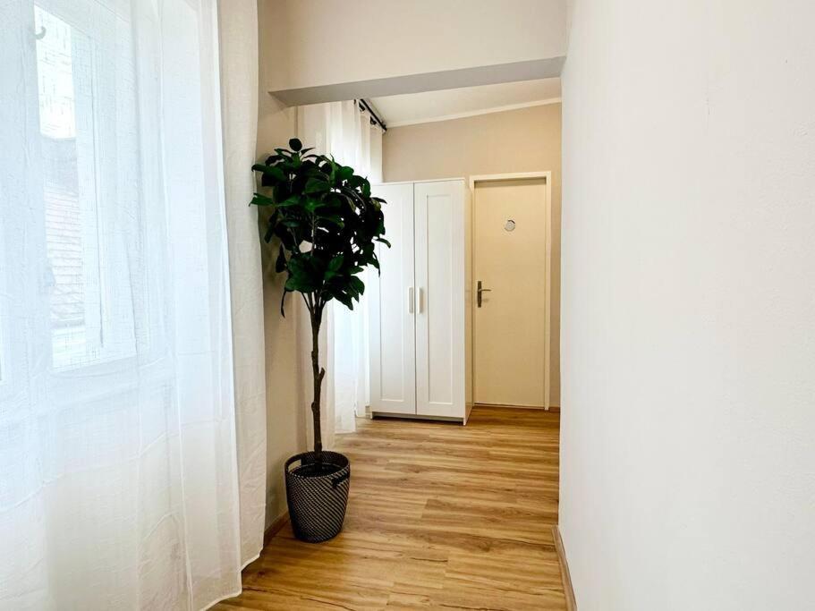 Apartment Next To Shopping Street I 5 Minutes To Inner *